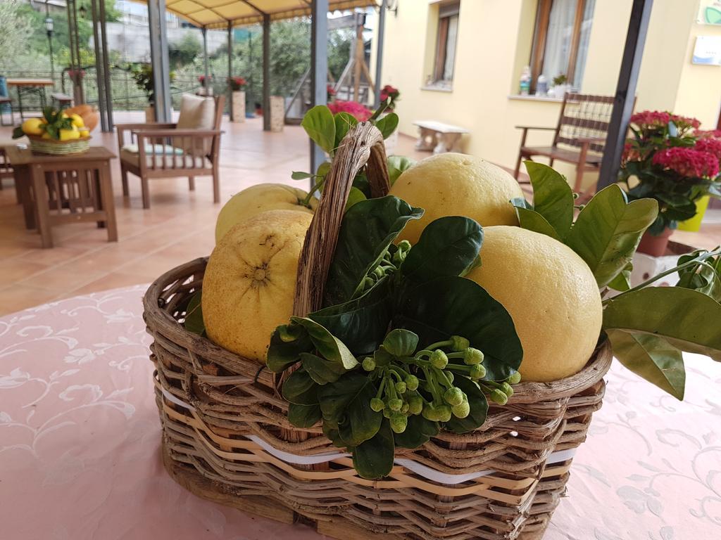 Agriturismo Al Nido Degli Aironi سانريمو المظهر الخارجي الصورة