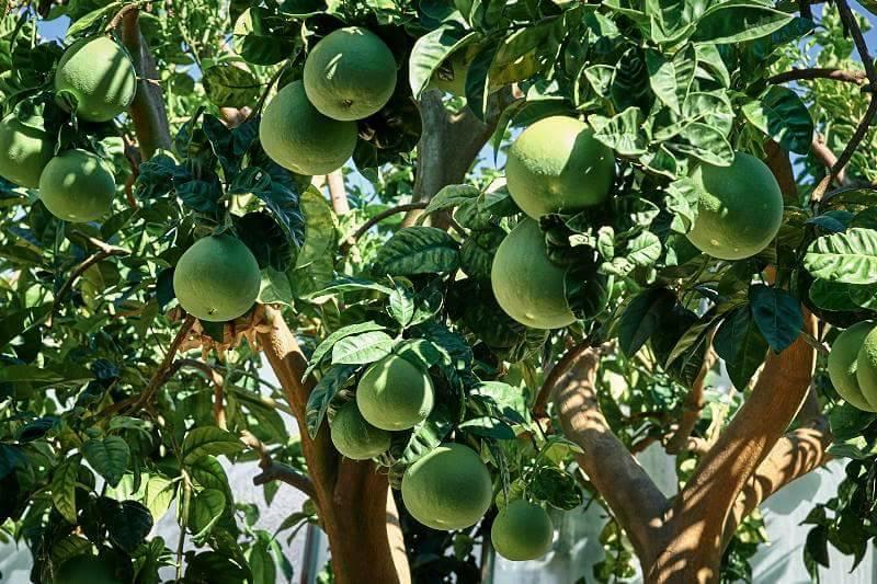 Agriturismo Al Nido Degli Aironi سانريمو المظهر الخارجي الصورة